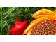 A colorful bowl of plant-based food, representing healthy nutrition